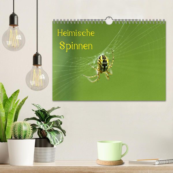 Produktbild: Heimische Spinnen (Wandkalender 2026 DIN A4 quer), CALVENDO Monatskalender