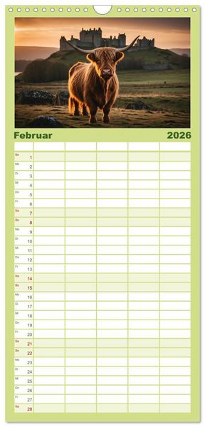 Produktbild: Familienplaner 2026 - Highland K&uuml;he mit 5 Spalten (Wandkalender, 21 x 45 cm) CALVENDO