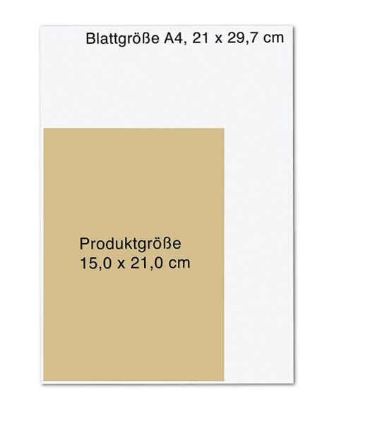 Produktbild: Leuchte wie ein Stern