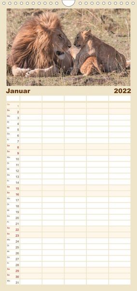 Produktbild: L&ouml;wen - Raubkatzen Afrikas - Familienplaner hoch (Wandkalender 2022 , 21 cm x 45 cm, hoch)