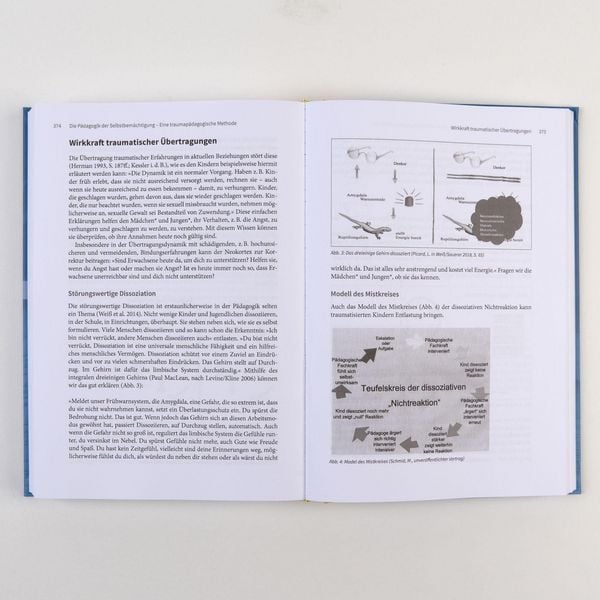 Produktbild: Handbuch Traumap&auml;dagogik