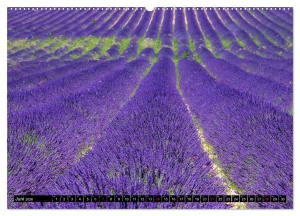 Produktbild: Provence (Wandkalender 2026 DIN A2 quer), CALVENDO Monatskalender