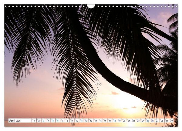 Produktbild: MALEDIVEN Wunderwelt (Wandkalender 2026 DIN A3 quer), CALVENDO Monatskalender