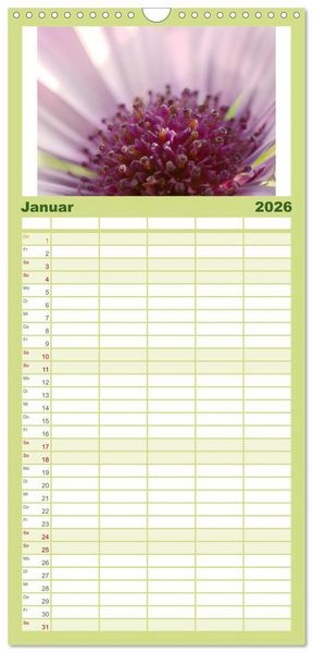 Produktbild: Familienplaner 2026 - Traum Blumen mit 5 Spalten (Wandkalender, 21 x 45 cm) CALVENDO