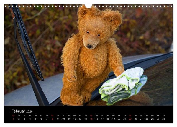 Produktbild: Teddy Basse, Fortsetzung... (Wandkalender 2026 DIN A3 quer), CALVENDO Monatskalender
