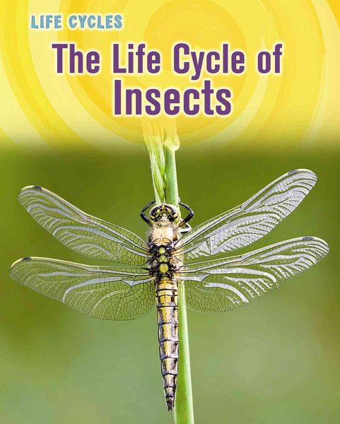 Produktbild: Life Cycle Of Insects