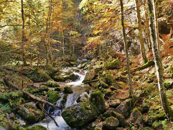 Produktbild: CALVENDO Puzzle Hartelsgraben | 1000 Teile Lege-Gr&ouml;&szlig;e 64x48cm Foto-Puzzle f&uuml;r gl&uuml;ckliche Stunden