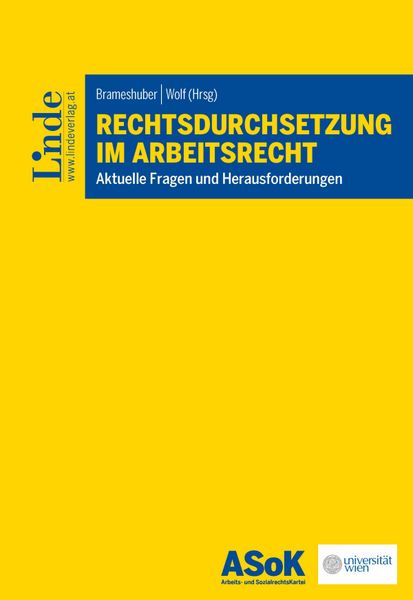 Produktbild: Rechtsdurchsetzung im Arbeitsrecht