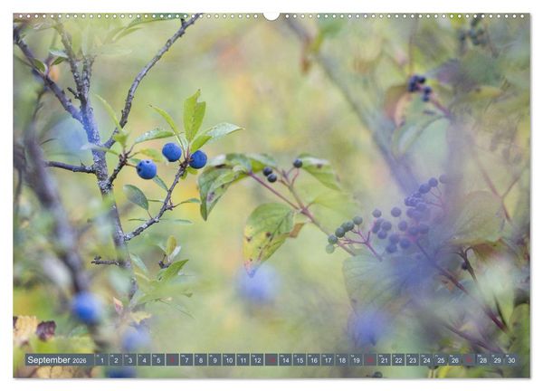 Produktbild: Die Natur hautnah (hochwertiger Premium Wandkalender 2026 DIN A2 quer), Kunstdruck in Hochglanz
