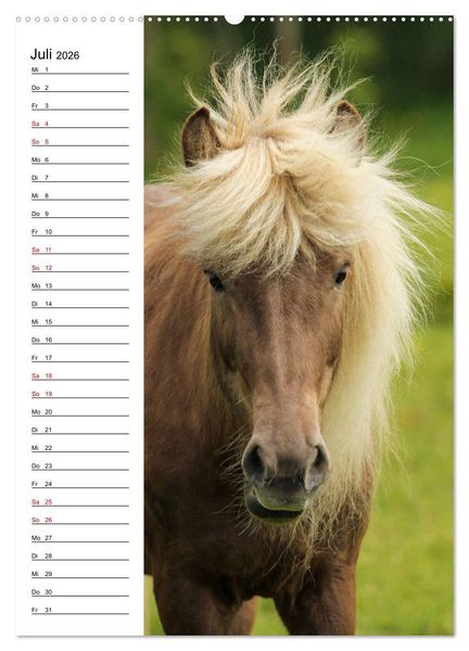 Produktbild: Isl&auml;nder im Portrait (hochwertiger Premium Wandkalender 2026 DIN A2 hoch), Kunstdruck in Hochglanz