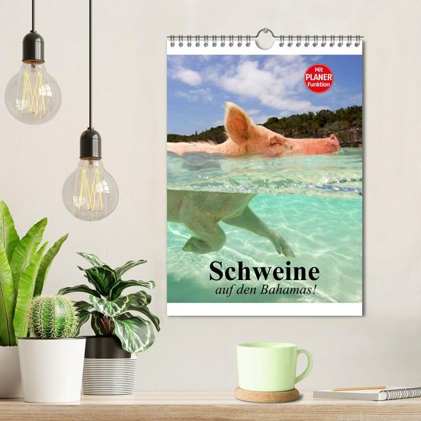 Produktbild: Schweine auf den Bahamas! (Wandkalender 2026 DIN A4 hoch), CALVENDO Monatskalender