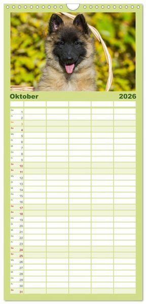 Produktbild: Familienplaner 2026 - Welpen 2026 mit 5 Spalten (Wandkalender, 21 x 45 cm) CALVENDO