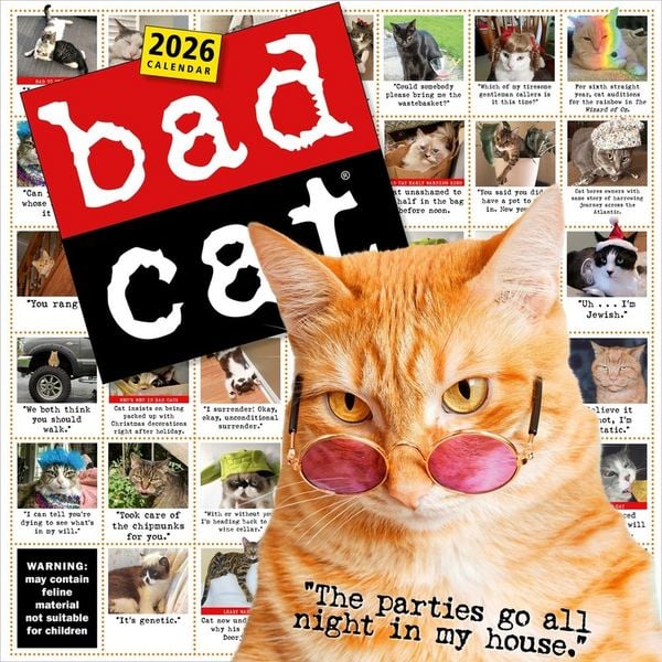 Produktbild: Bad Cat Wall Calendar 2026