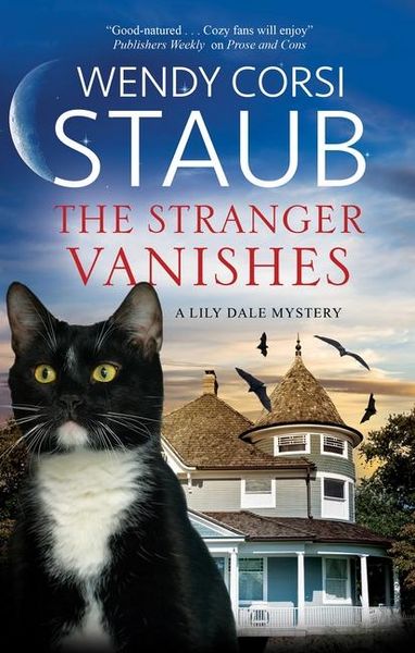 Produktbild: The Stranger Vanishes