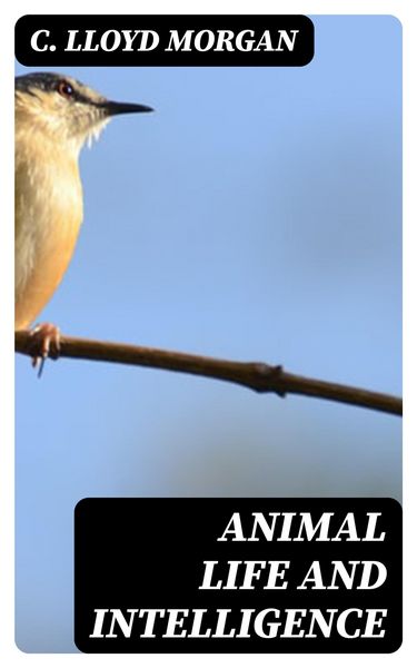 Produktbild: Animal Life and Intelligence