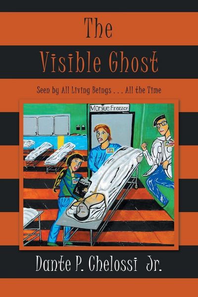 Produktbild: The Visible Ghost