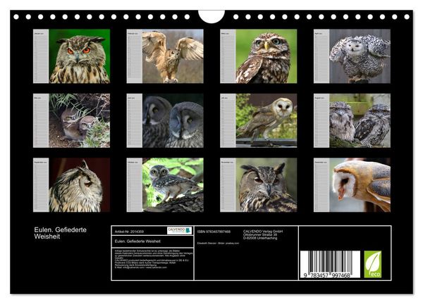 Produktbild: Eulen. Gefiederte Weisheit (Wandkalender 2026 DIN A4 quer), CALVENDO Monatskalender