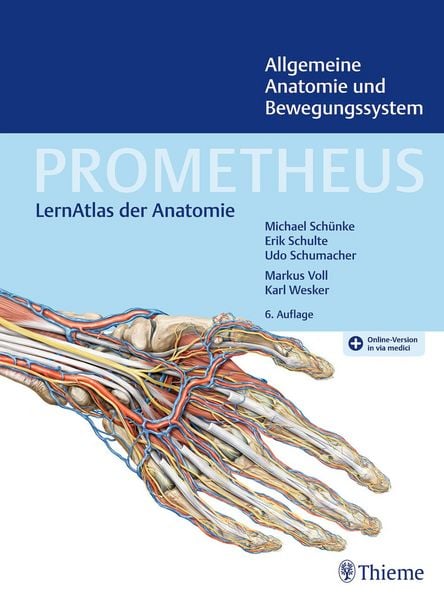 Produktbild: PROMETHEUS Allgemeine Anatomie und Bewegungssystem