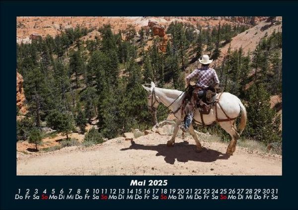 Produktbild: Die Welt der Pferde 2025 Fotokalender DIN A5