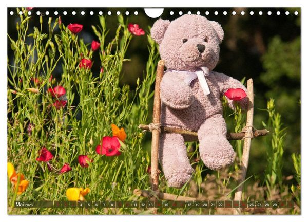 Produktbild: Kunterbunte B&auml;renwelt - Teddys (Wandkalender 2026 DIN A4 quer), CALVENDO Monatskalender