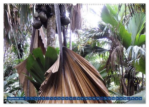 Produktbild: Seychellen - Wild und Sch&ouml;n (Wandkalender 2026 DIN A2 quer), CALVENDO Monatskalender
