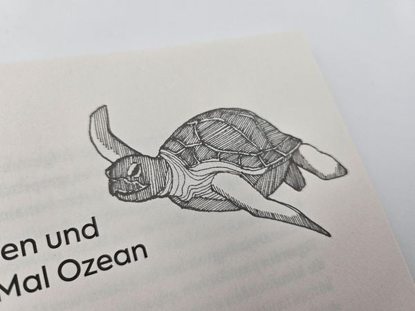 Produktbild: Segeljungs