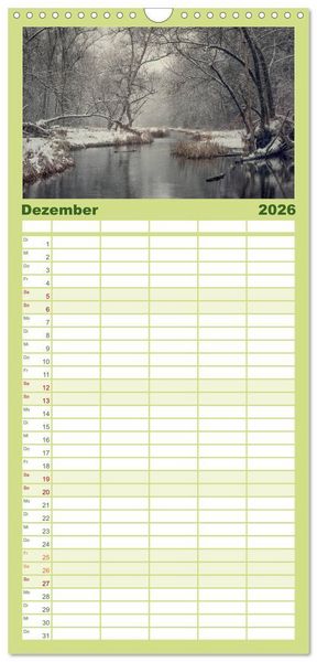 Produktbild: Familienplaner 2026 - Mysterium Wald mit 5 Spalten (Wandkalender, 21 x 45 cm) CALVENDO