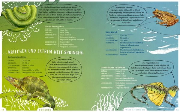 Produktbild: Wir sind die Tiere des Waldes