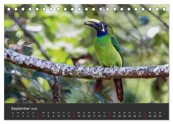 Produktbild: Costa Rica 2026 Exotische Vogelwelt (Tischkalender 2026 DIN A5 quer), CALVENDO Monatskalender