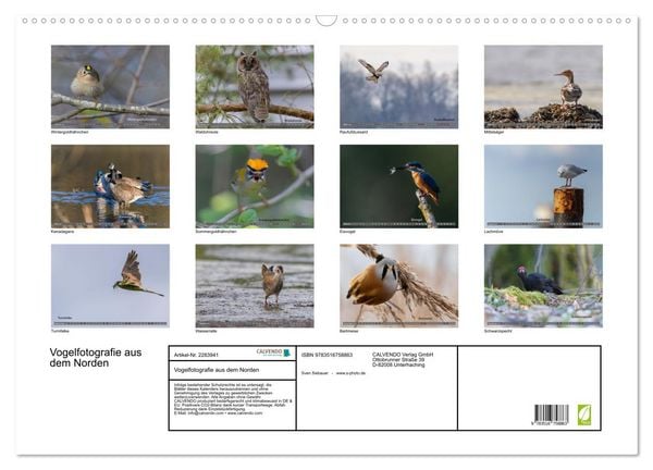 Produktbild: Vogelfotografie aus dem Norden (Wandkalender 2027 DIN A2 quer), CALVENDO Monatskalender