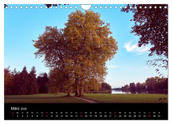 Produktbild: Sch&ouml;ne Heimat W&ouml;rlitzer Park (Wandkalender 2026 DIN A4 quer), CALVENDO Monatskalender