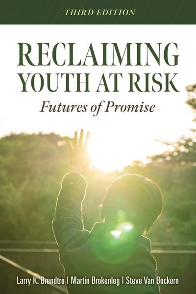 Produktbild: Reclaiming Youth at Risk