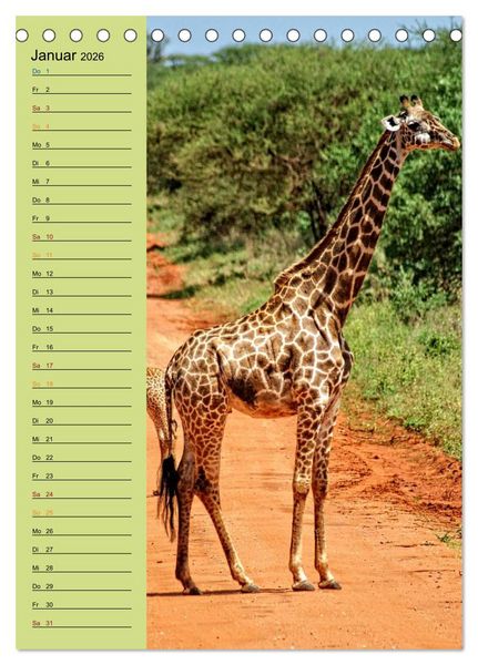 Produktbild: Giraffen. Voller Stolz und Grazie (Tischkalender 2026 DIN A5 hoch), CALVENDO Monatskalender