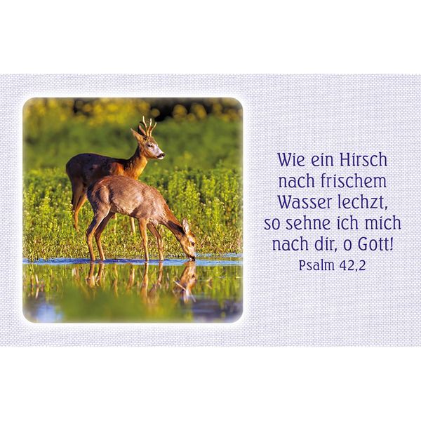 Produktbild: 62 Psalm-Gebete