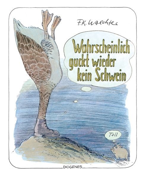 Produktbild: Wahrscheinlich guckt wieder kein Schwein