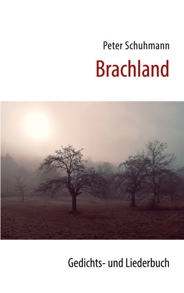 Produktbild: Brachland