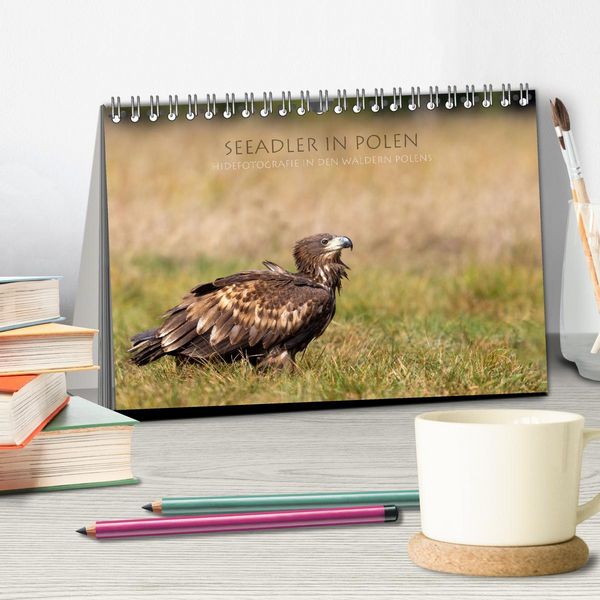 Produktbild: Seeadler in Polen (Tischkalender 2026 DIN A5 quer), CALVENDO Monatskalender