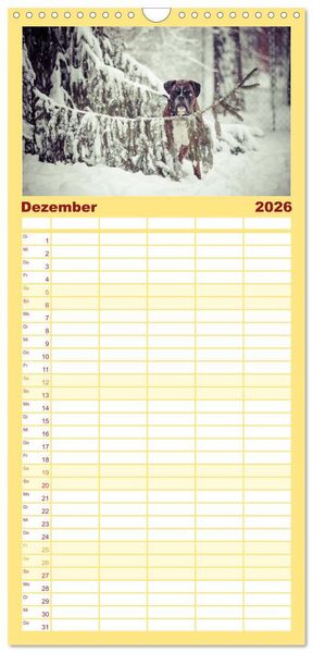 Produktbild: Familienplaner 2026 - Deutscher Boxer 2026 mit 5 Spalten (Wandkalender, 21 x 45 cm) CALVENDO