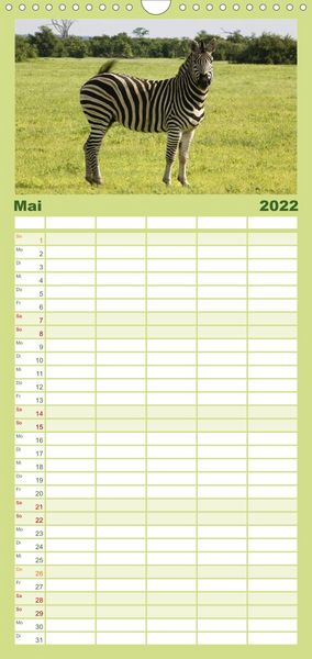Produktbild: Familienplaner Zebras - Faszination der Wildnis (Wandkalender 2022 , 21 cm x 45 cm, hoch)