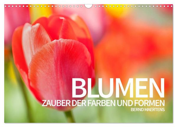 BLUMEN Zauber der Farben und Formen (Wandkalender 2026 DIN A3 quer), CALVENDO Monatskalender