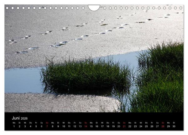 Produktbild: Wattenmeer (Wandkalender 2026 DIN A4 quer), CALVENDO Monatskalender