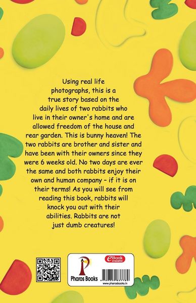 Produktbild: Bunnie the Bunny with Bugsy the Bunny our lives and other bits
