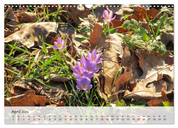 Produktbild: Vier Jahreszeiten - Eine Welt (Wandkalender 2026 DIN A3 quer), CALVENDO Monatskalender