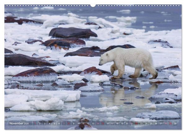 Produktbild: AN DER HUDSON BAY (hochwertiger Premium Wandkalender 2026 DIN A2 quer), Kunstdruck in Hochglanz