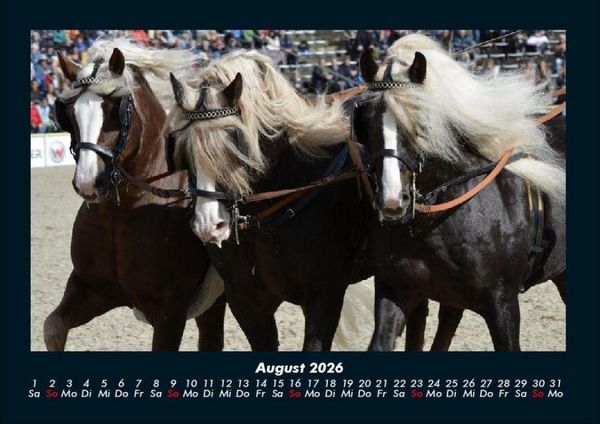 Produktbild: Pferdetraum 2026 Fotokalender DIN A4