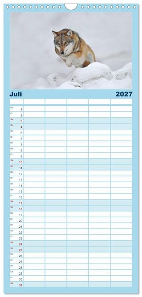 Produktbild: Familienplaner 2027 - Kanadische W&ouml;lfe im Winter mit 5 Spalten (Wandkalender, 21 x 45 cm) CALVENDO