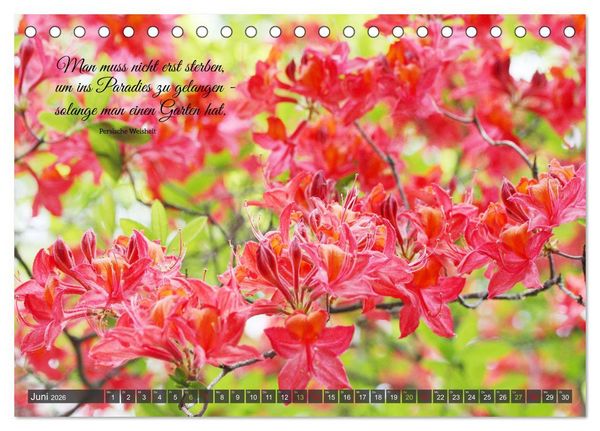 Produktbild: Rhododendren und Poesie (Tischkalender 2026 DIN A5 quer), CALVENDO Monatskalender