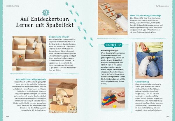 Produktbild: Neugierige Meerschweinchen