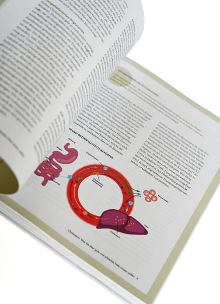 Produktbild: Die Ern&auml;hrungs-Docs &ndash; Cholesterin senken &ndash; Unsere 100 besten Rezepte
