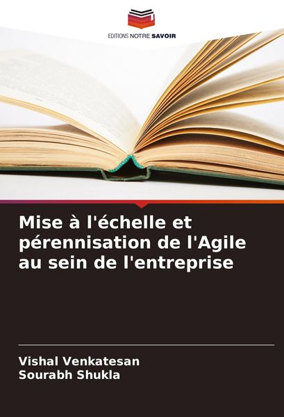 Produktbild: Mise &agrave; l'&eacute;chelle et p&eacute;rennisation de l'Agile au sein de l'entreprise